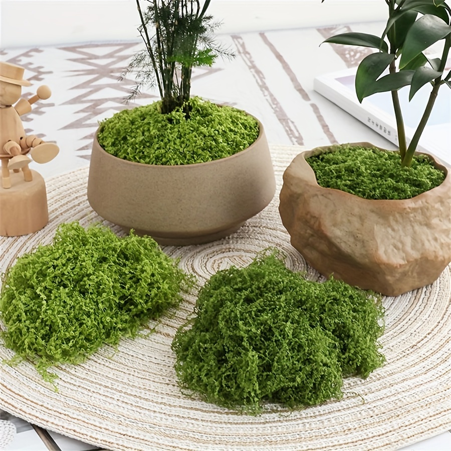 Sphagnum Moss Dry - 1 Pak lumut palsu buatan, 1.05