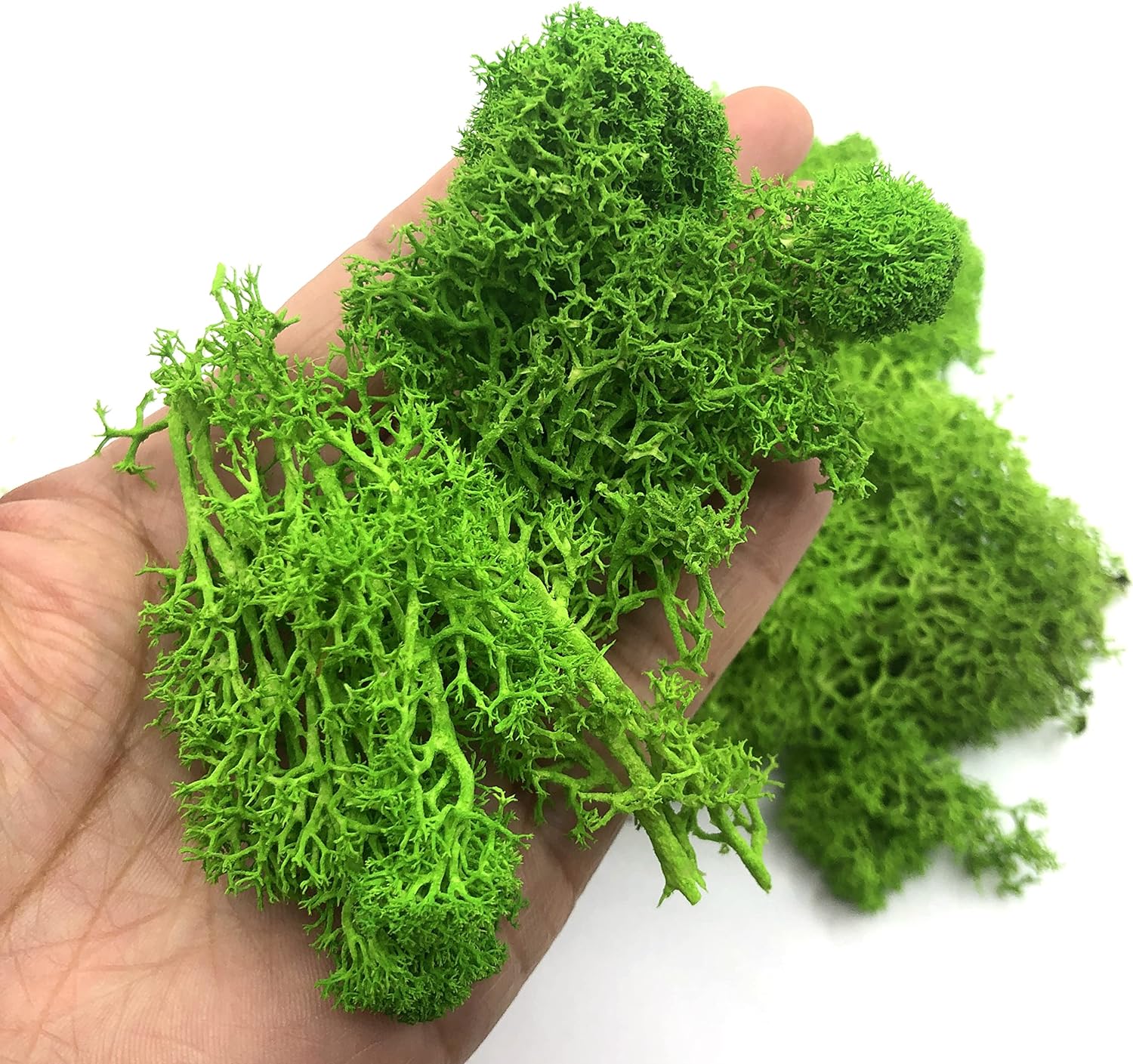 Sphagnum Moss Dry - Tanaman hijau buatan 200g, kerajinan tangan