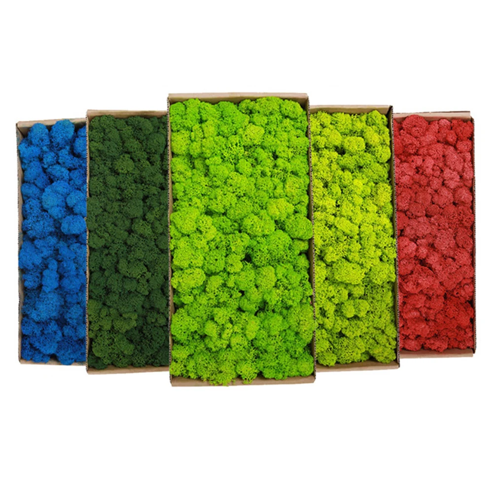 20-200G Tanaman Hijau Buatan R - Sphagnum Moss Dry ulasan dan harga