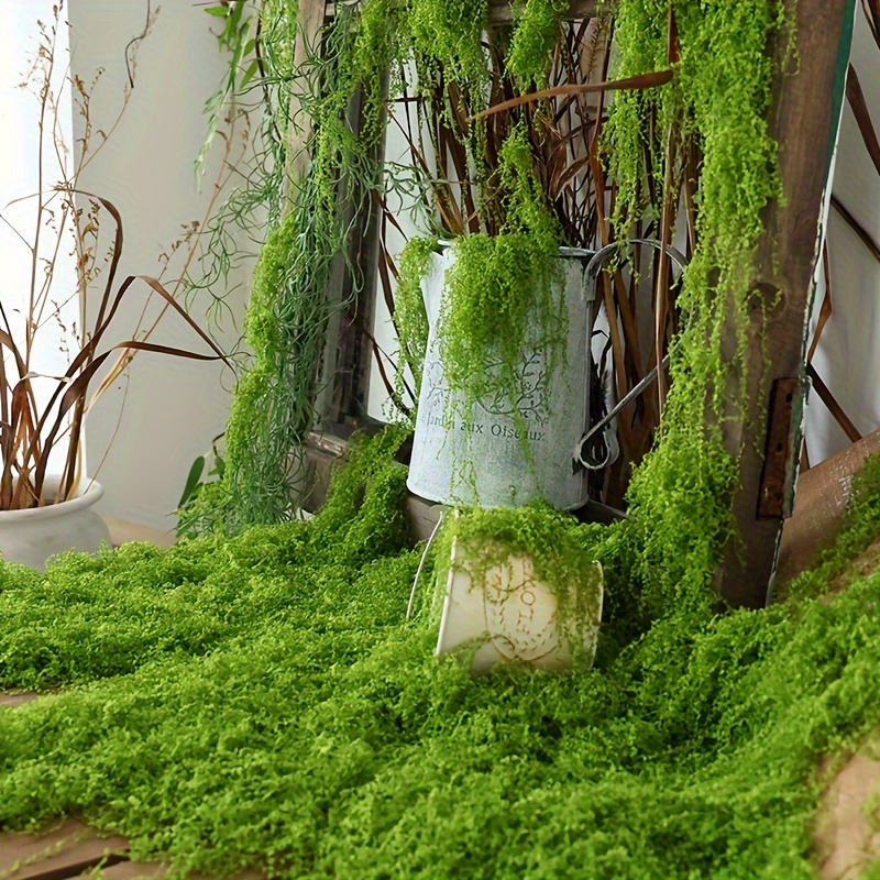 1 Pak lumut palsu buatan, 1.05 - Sphagnum Moss Dry ulasan dan harga