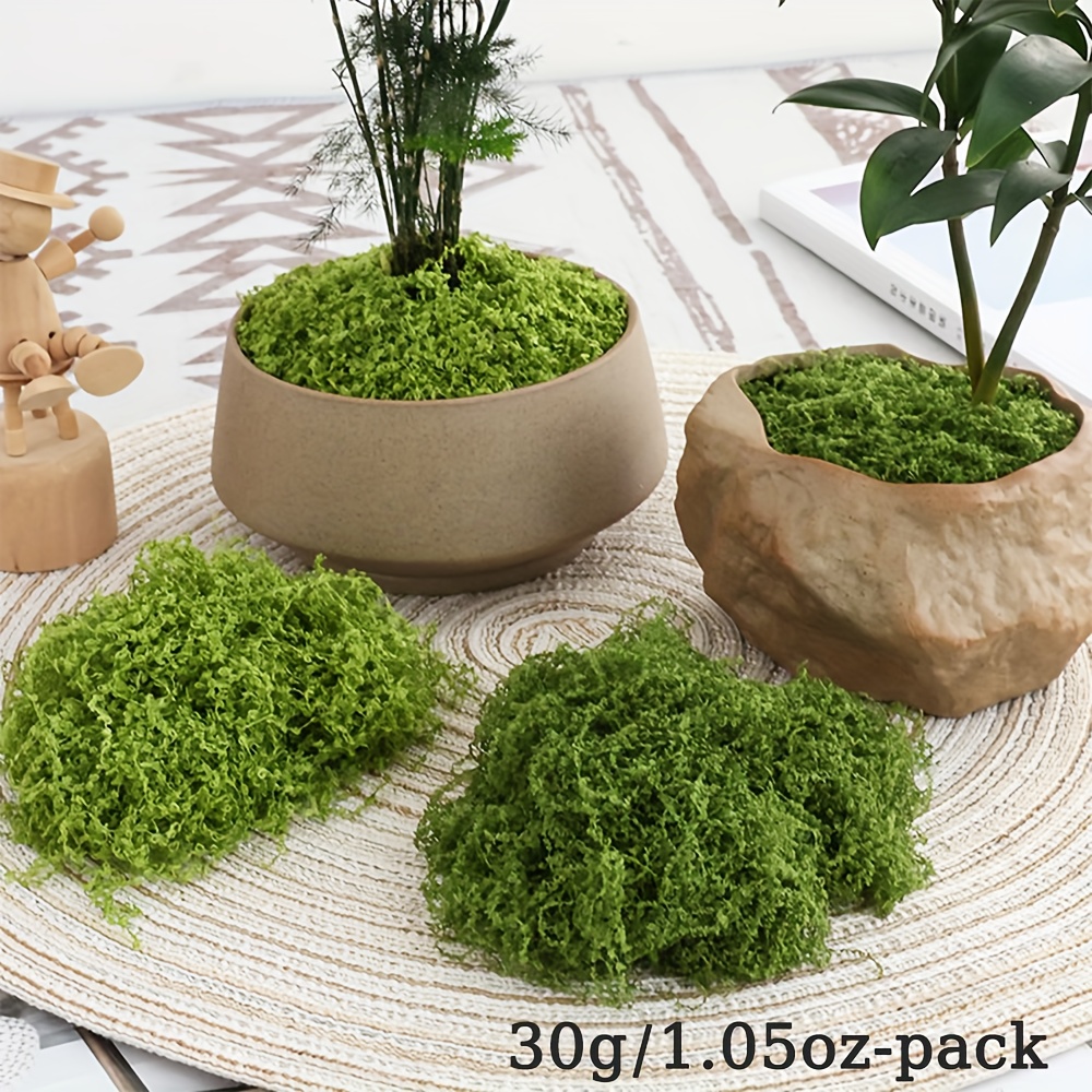 1 Pak lumut palsu buatan, 1.05 - Sphagnum Moss Dry ulasan dan harga