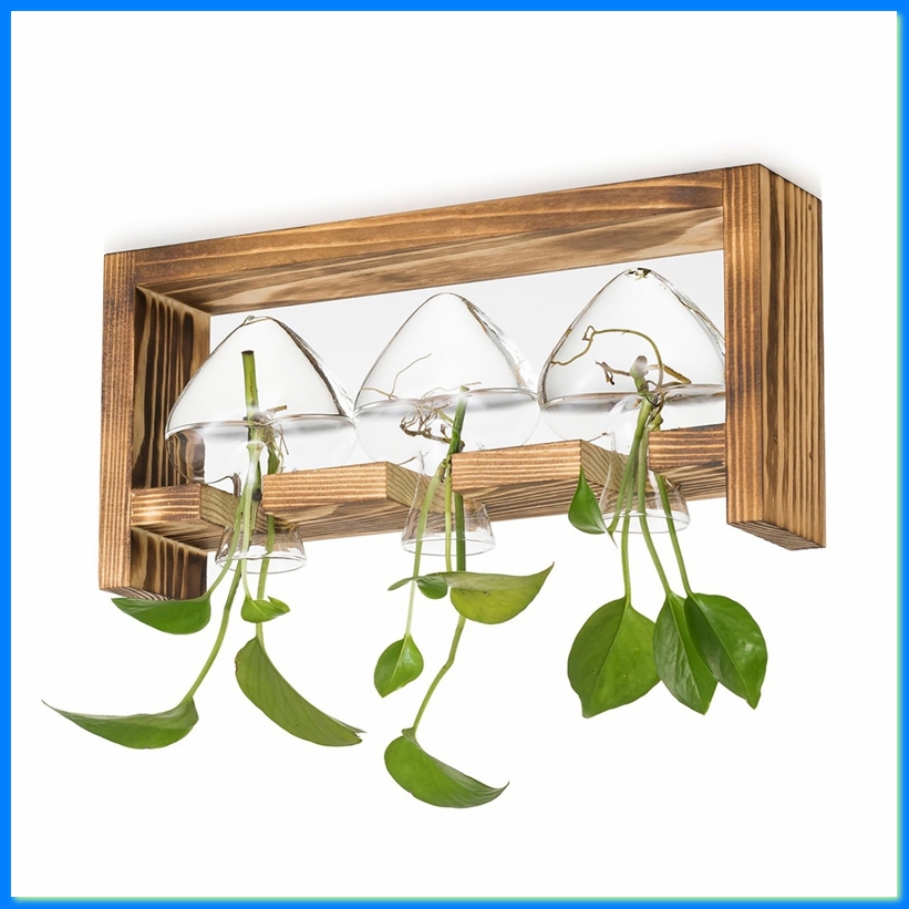 Stasiun Perbanyakan Tanaman da - Propagation Station Vase ulasan dan harga