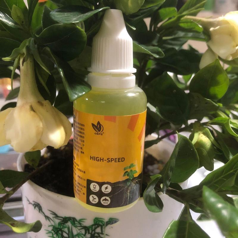 50ml Stimulator akar tanaman c - Root Stimulator Liquid ulasan dan harga