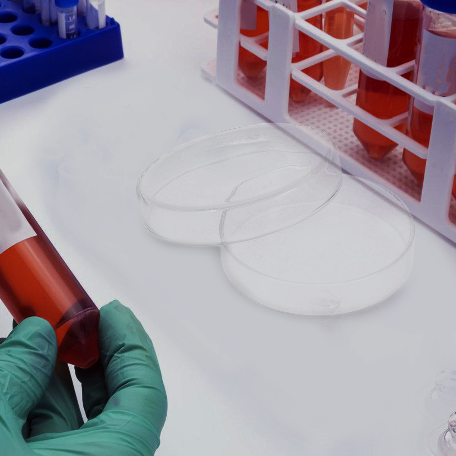 Cawan Petri Kaca Borosilikat T - Agar Tissue Culture ulasan dan harga