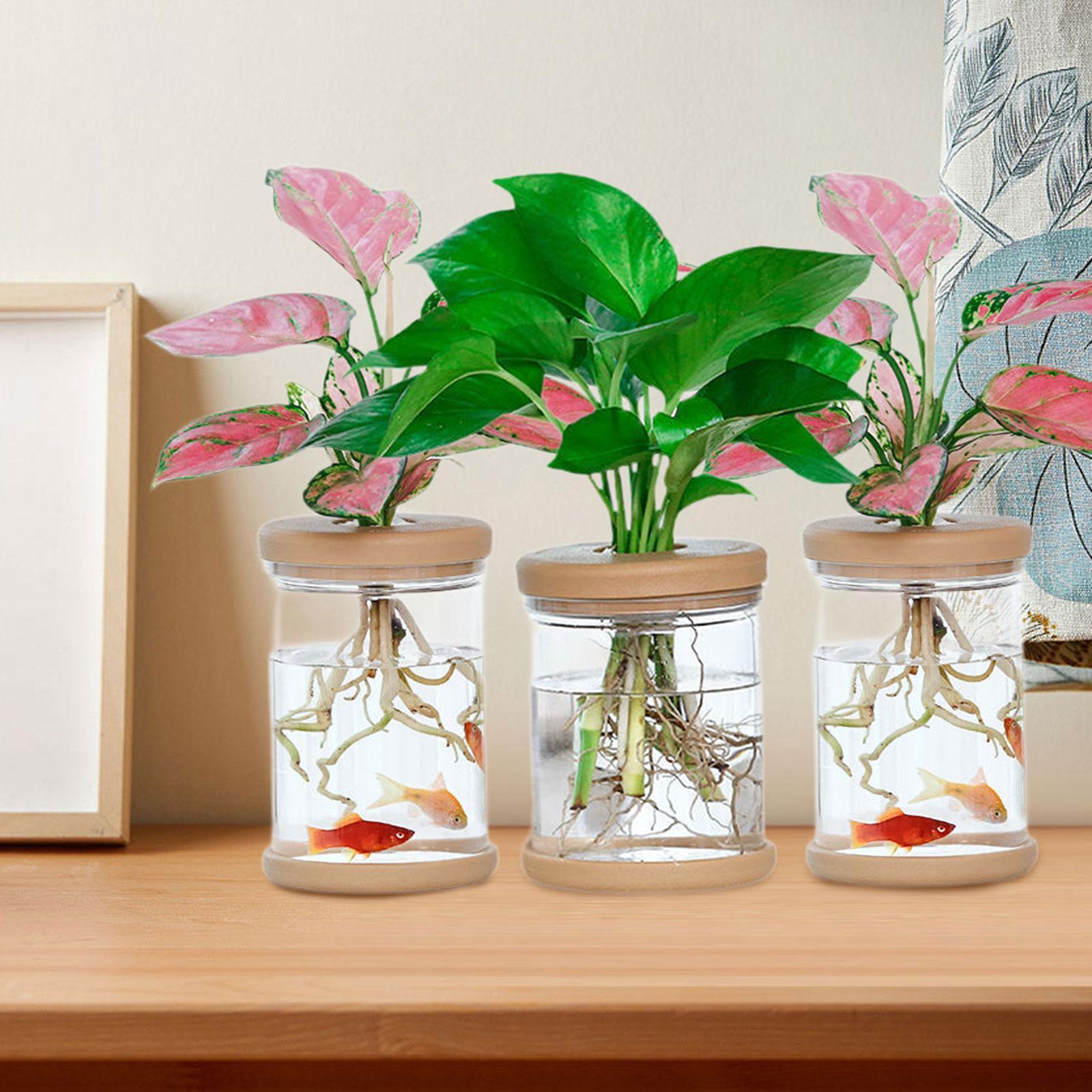 3 Buah Vas Bunga Hidroponik Va - Propagation Station Vase ulasan dan harga