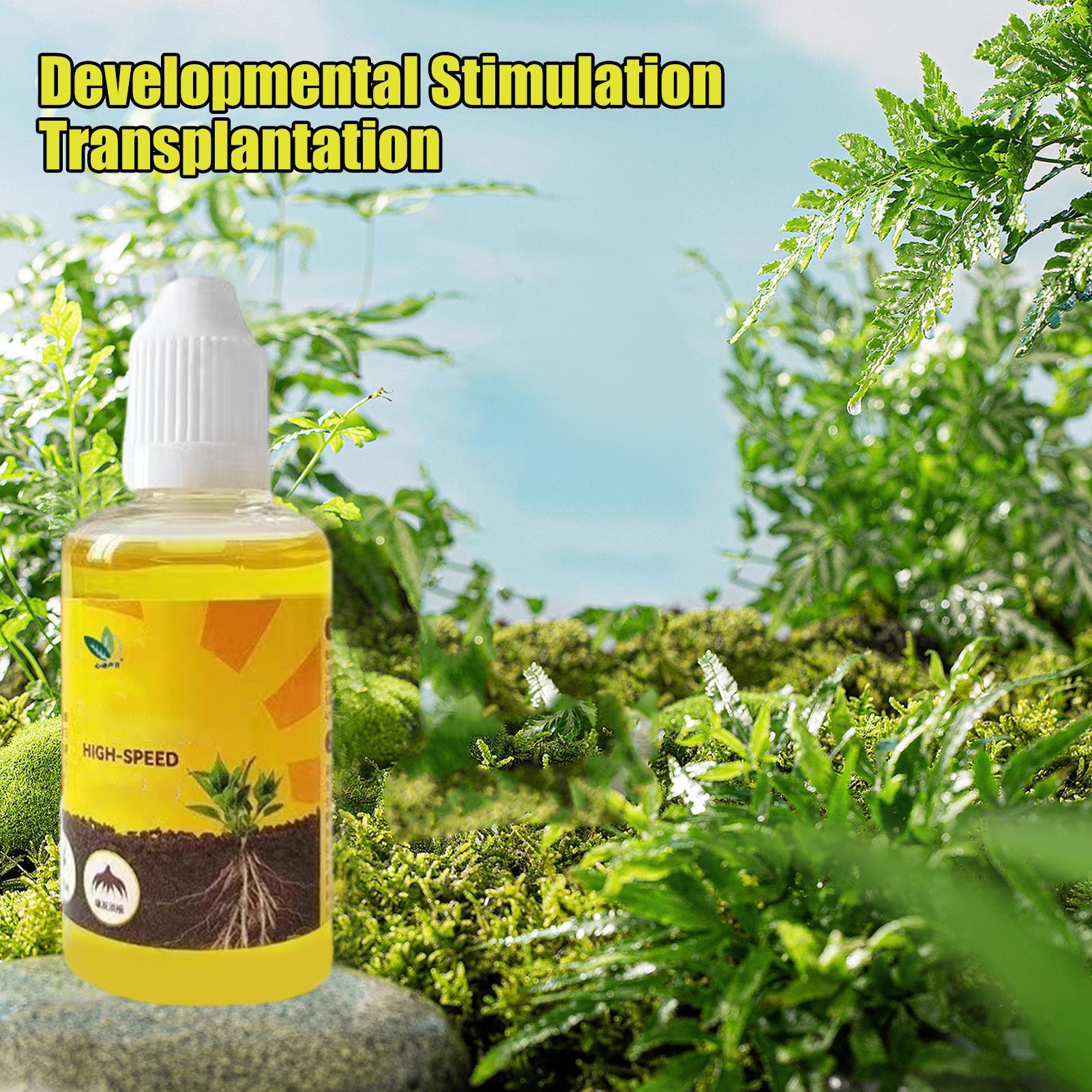 50Ml Stimulator Pengakaran Tan - Root Stimulator Liquid ulasan dan harga