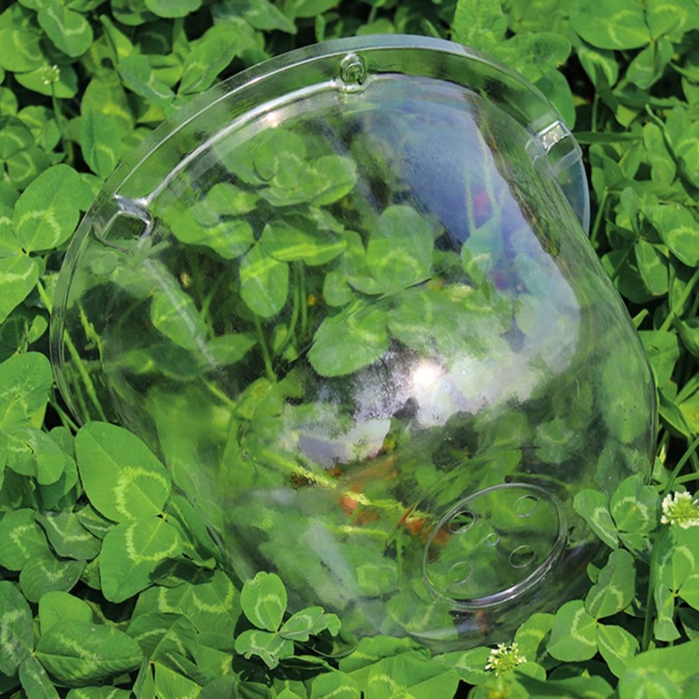 Penutup Pelindung Bibit Plasti - Plastic Dome Clear ulasan dan harga