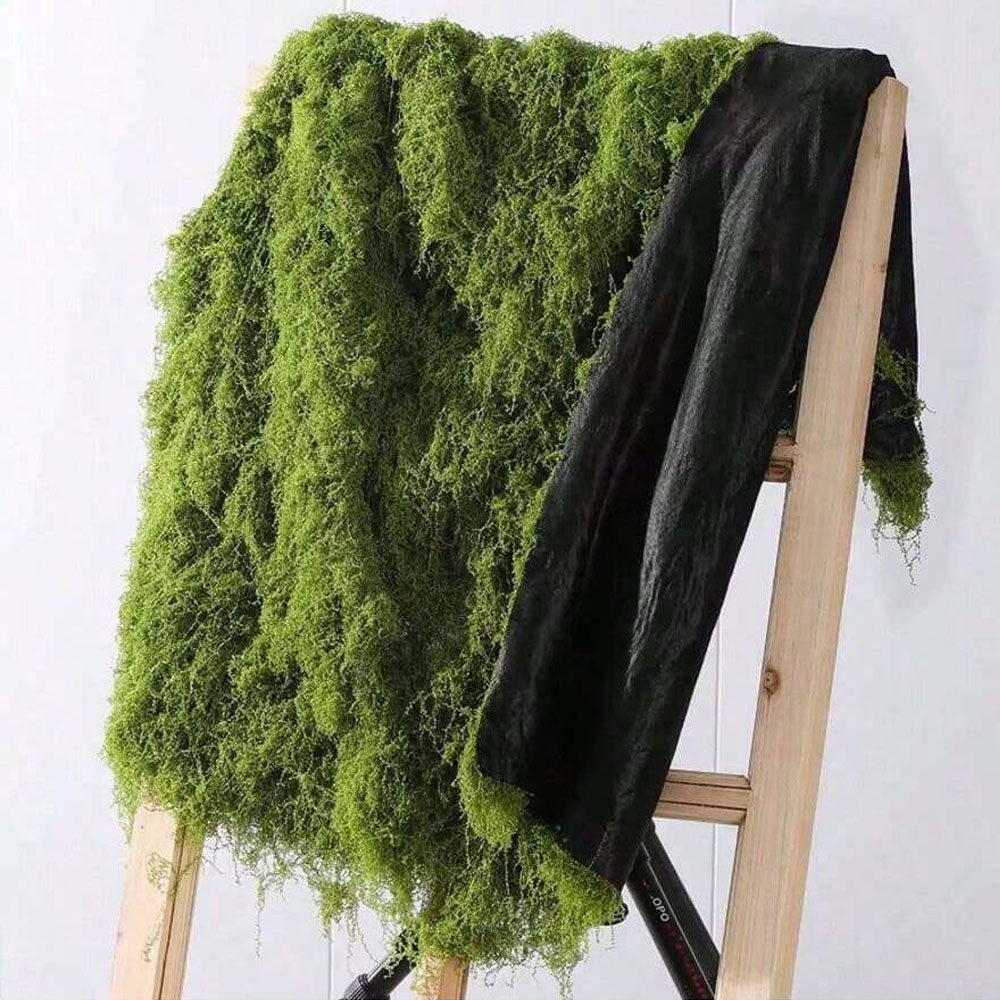 1*1M Lumut Palsu DIY Kerajinan - Sphagnum Moss Dry ulasan dan harga