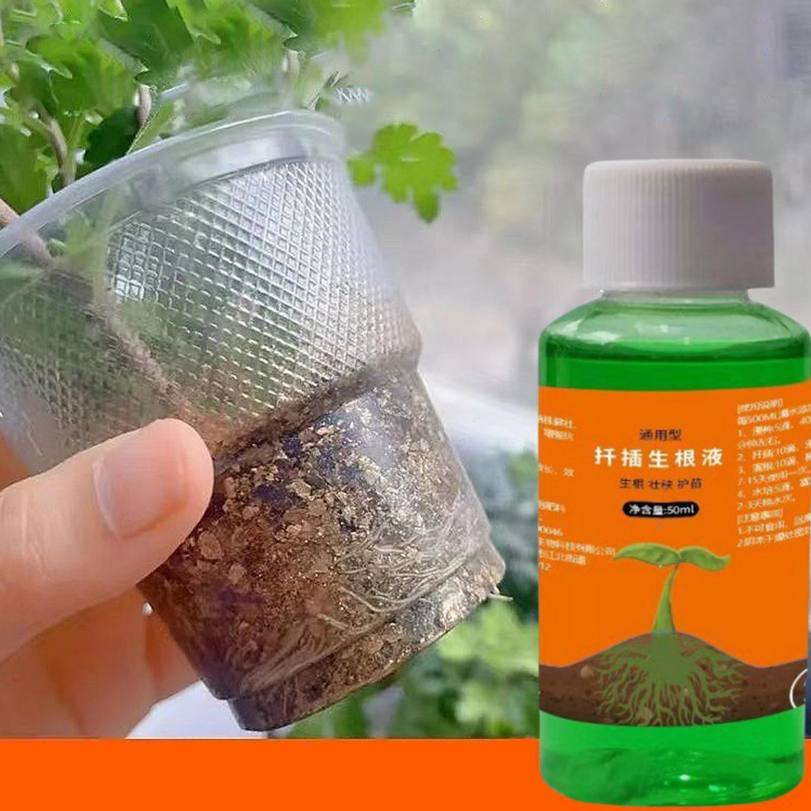50ml Larutan Nutrisi Transplan - Root Stimulator Liquid ulasan dan harga