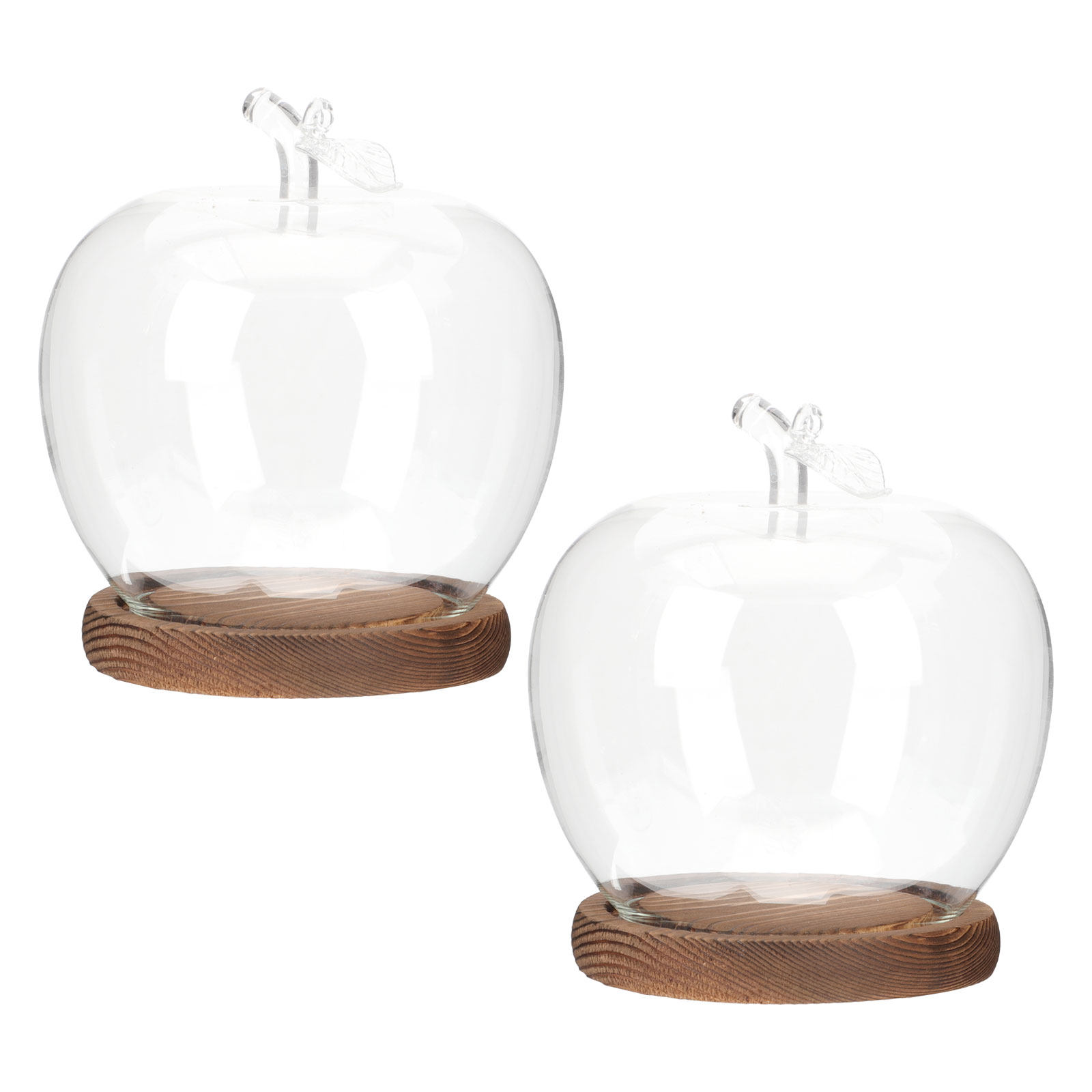 2 Buah Kubah Kaca dengan Alas  - Plastic Dome Clear ulasan dan harga