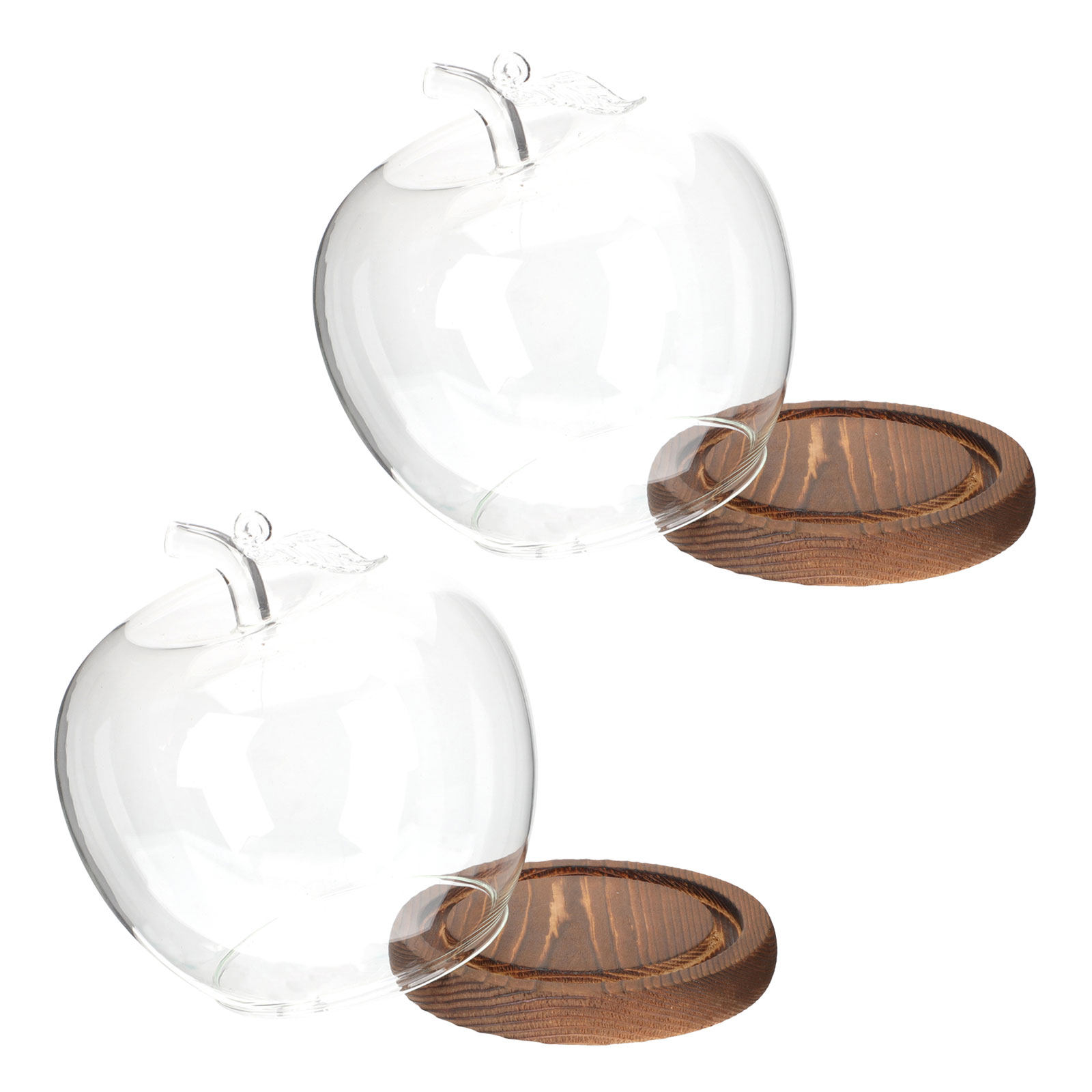 2 Buah Kubah Kaca dengan Alas  - Plastic Dome Clear ulasan dan harga