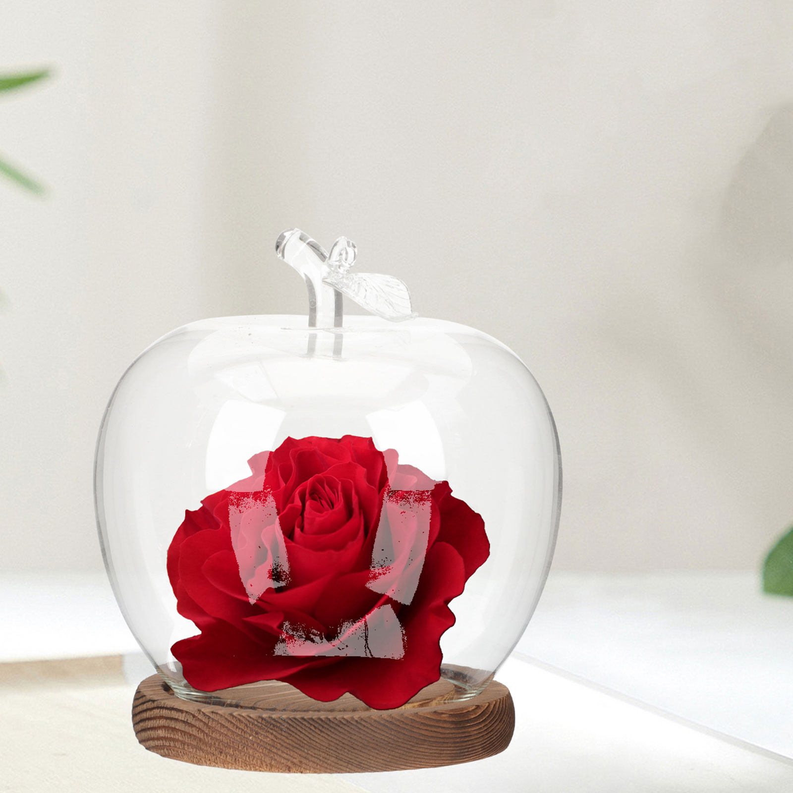 2 Buah Kubah Kaca dengan Alas  - Plastic Dome Clear ulasan dan harga